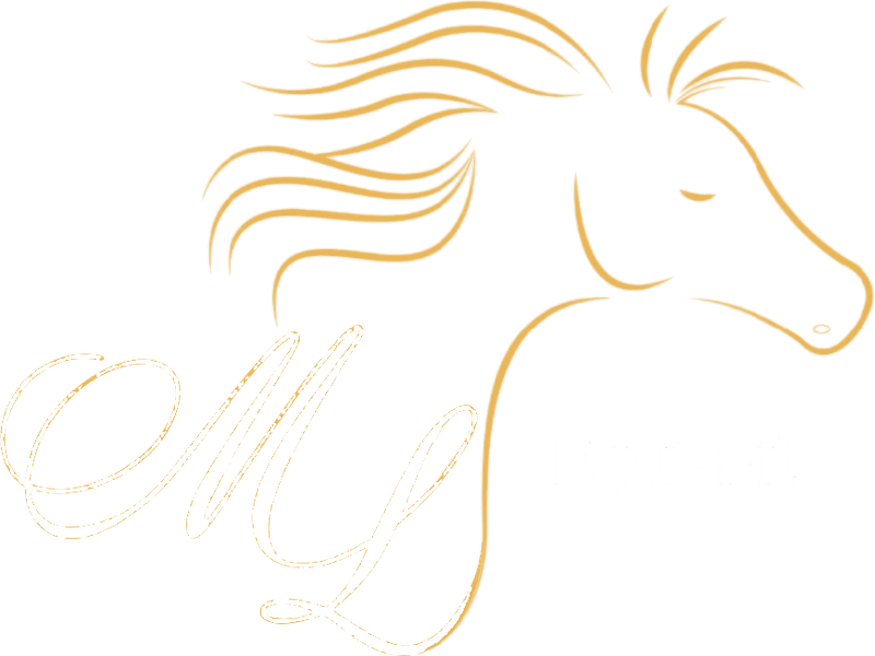 ML Equi-Fit logo
